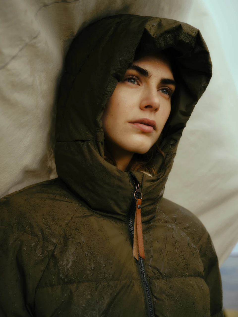 Chris Noltekuhlmann